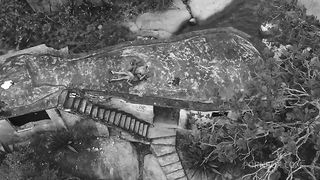 Ellas4 - The Sweetie