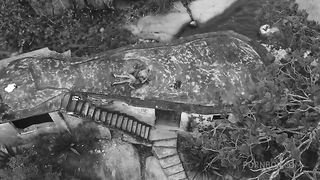 Ellas4 - Mirella Mansur Hot