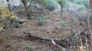 Ass Fucking Sidra at Spahn Ranch Charles Manson Hideout