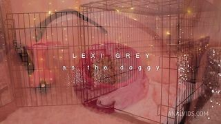 Lexi Grey Turned in Anal Puppy Whore at the Vet