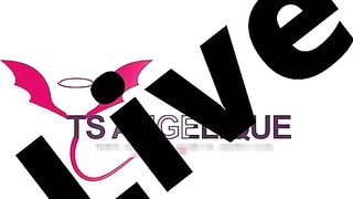 TS Angelique Monroe - Webcam show from July 11, 2023