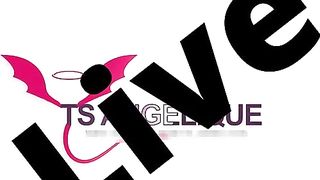 TS Angelique Monroe - Webcam show from July 11, 2023