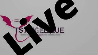 TS Angelique Monroe - Webcam show from July 20, 2023