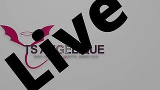 TS Angelique Monroe - Webcam show from July 21, 2023