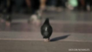 Latina Milf Secretary Ginger Hell Gets A Double Anal In The Workshop