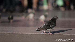 Latina Milf Secretary Ginger Hell Gets A Double Anal In The Workshop