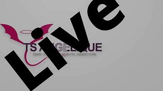 TS Angelique Monroe - Webcam show from August 1, 2023