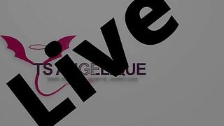 TS Angelique Monroe - Webcam show from August 2, 2023
