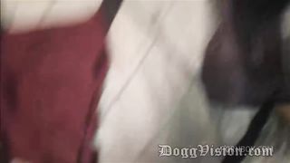 Anal Cheating Wife Enjoys Fisting DP