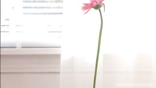 Tory Lane And Shawna Lenee Lick Pussy And Have Lesbian Fun