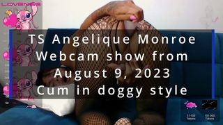 TS Angelique Monroe - Webcam show from August 9, 2023