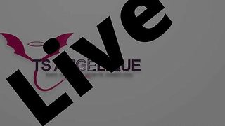TS Angelique Monroe - Webcam show from August 9, 2023