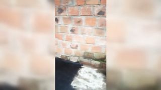 Venuslatina2 - big facial in abandoned house