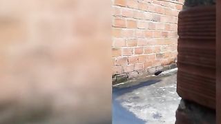 Venuslatina2 - big facial in abandoned house