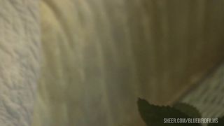 Hot Couple Fucks On A Bed Of Rose Petals And She Cums Multiple Times!