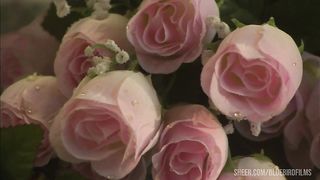 Hot Couple Fucks On A Bed Of Rose Petals And She Cums Multiple Times!