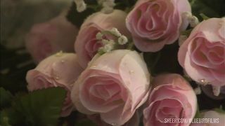 Hot Couple Fucks On A Bed Of Rose Petals And She Cums Multiple Times!