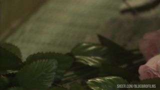 Hot Couple Fucks On A Bed Of Rose Petals And She Cums Multiple Times!