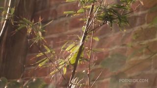 Faith Leone Starts Out Making Love To Her Stud But Then They Fuck Hard