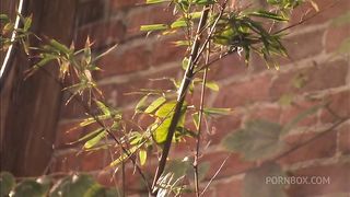 Faith Leone Starts Out Making Love To Her Stud But Then They Fuck Hard