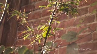 Faith Leone Starts Out Making Love To Her Stud But Then They Fuck Hard