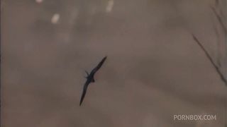 Tera Patrick Gets Fucked On The Beach