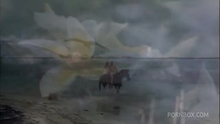 Tera Patrick Gets Fucked On The Beach