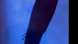 Blonde Dolls Candy Manson and Tiffany Price Suck and Fuck A Big Cock Together