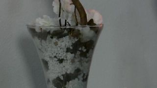 Madrasta carente e enteado curioso