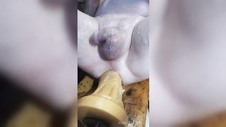 Fucking a new Hankeys Dildo