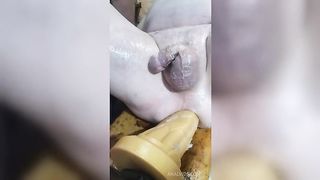 Fucking a new Hankeys Dildo