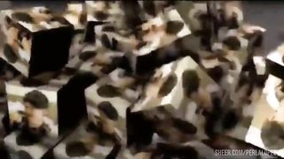 me pase toda la noche con la pija adentro del culo y tragando leche