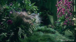 Batfuck Enters Poison Envys Garden Of Lust And Fucks His Cock Off