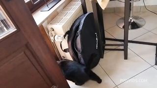 Lilly Veroni, Vittoria Divine, Mary Rirder, Lynn Lynx, Rubi Storm Behind the scenes (Anal, Piss)