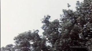 Great Vintage birthday orgy with Rocco Siffredi and Moana Pozzi