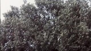 Great Vintage birthday orgy with Rocco Siffredi and Moana Pozzi