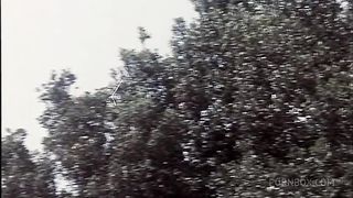 Great Vintage birthday orgy with Rocco Siffredi and Moana Pozzi