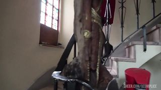 Xcomplice - update #7 - Vvb - Nov 10, 2022