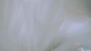 my wonderful barbie doll