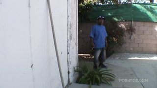 Kitty fucked all day
