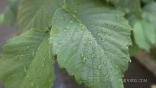 Flexible young girl analized