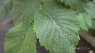 Flexible young girl analized