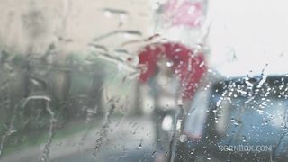 Flexible young girl analized