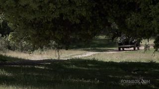 Bobbi Starr, Dylan Ryder, Julia Ann And Natasha Marley Outdoor Orgy