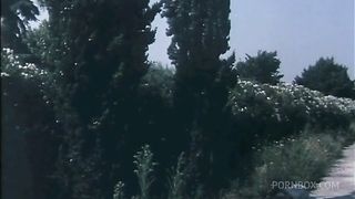 2 VINTAGE SCENES: A LESBO 4SOME AND AN ORGY WITH 3 WOMEN AND 2 MEN