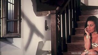 Pussycat fucks with Rocco on the stairs and his sister in the garden with another
