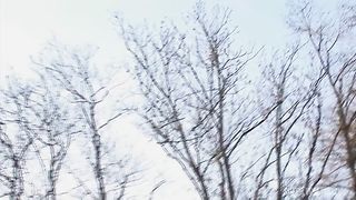 European Orgy With Big Tits And Shaved Pussies Being Fucked By Stiff Cocks to Ass