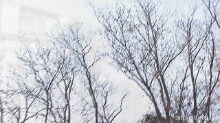 European Orgy With Big Tits And Shaved Pussies Being Fucked By Stiff Cocks to Ass