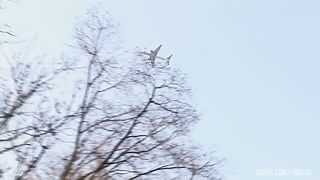 European Orgy With Big Tits And Shaved Pussies Being Fucked By Stiff Cocks to Ass