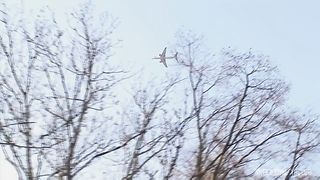 European Orgy With Big Tits And Shaved Pussies Being Fucked By Stiff Cocks to Ass